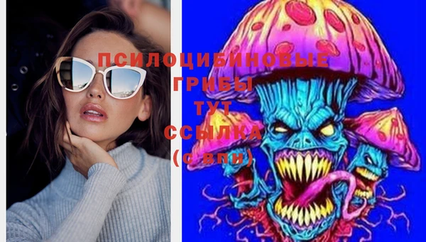 прущие крисы Волосово
