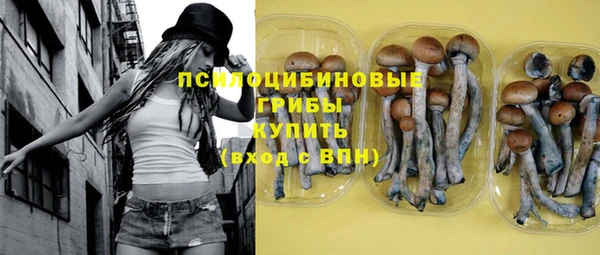 молекула духа Вязьма
